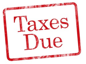 Late Filing & Payment Penalty Facts